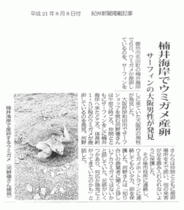 海がめが産卵しに帰ってきました